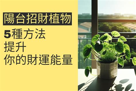 陽台植物招財|7月旺財！前陽台招財植物怎麼選